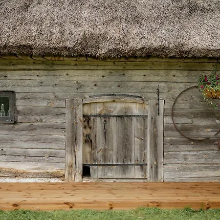Privaatne Glamping, Saun Ja Koeoegiga Maja Mere Kaldal Σπίτι διακοπών