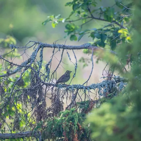Privaatne Glamping, Saun Ja Koeoegiga Maja Mere Kaldal Σπίτι διακοπών