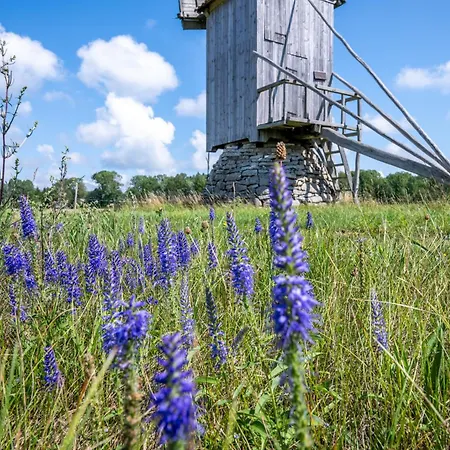 Privaatne Glamping, Saun Ja Koeoegiga Maja Mere Kaldal * Jogela