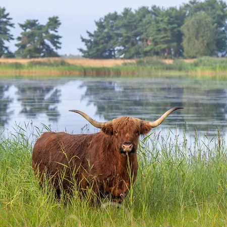 Privaatne Glamping, Saun Ja Koeoegiga Maja Mere Kaldal *