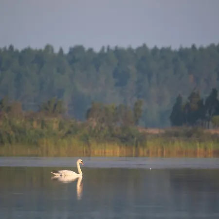 Privaatne Glamping, Saun Ja Koeoegiga Maja Mere Kaldal Σπίτι διακοπών *